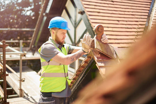 Best Roof Leak Repair  in North Lynnwood, WA